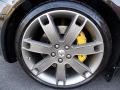 2008 Maserati Quattroporte Standard Quattroporte Model Wheel and Tire Photo