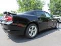 Pitch Black - Charger SE Photo No. 3