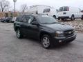 Graphite Metallic - TrailBlazer LT Photo No. 3