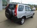 2004 Satin Silver Metallic Honda CR-V LX  photo #9