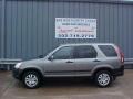 Pewter Pearl - CR-V EX 4WD Photo No. 1
