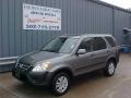 Pewter Pearl - CR-V EX 4WD Photo No. 2