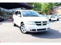 Bright Silver Metallic 2010 Dodge Journey SXT