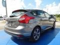 Sterling Gray - Focus SE Hatchback Photo No. 3