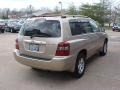 Sonora Gold Pearl - Highlander 4WD Photo No. 9