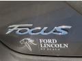 2014 Sterling Gray Ford Focus Titanium Hatchback  photo #4