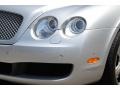 Silver Tempest - Continental Flying Spur  Photo No. 31