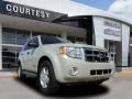Light Sage Metallic 2008 Ford Escape XLT V6