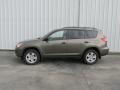 Pyrite Metallic 2011 Toyota RAV4 I4 4WD Exterior