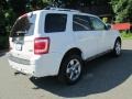 2010 White Suede Ford Escape Limited V6 4WD  photo #6
