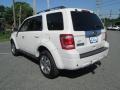 2010 White Suede Ford Escape Limited V6 4WD  photo #8