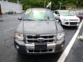 Sterling Gray Metallic - Escape Limited 4WD Photo No. 3