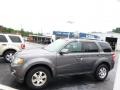 Sterling Gray Metallic - Escape Limited 4WD Photo No. 5