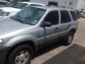 2005 Silver Metallic Ford Escape XLS  photo #2