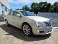 Silver Coast Metallic 2014 Cadillac XTS Luxury FWD Exterior