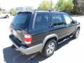 2001 Super Black Nissan Pathfinder SE 4x4  photo #13