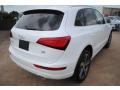 Ibis White - Q5 3.0 TDI quattro Photo No. 2