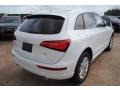 Glacier White Metallic - Q5 2.0 TFSI quattro Photo No. 2