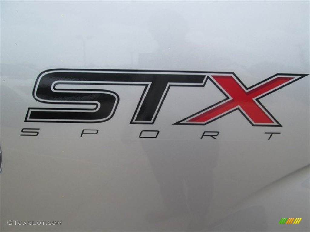 2014 F150 STX SuperCrew - Ingot Silver / Black photo #11