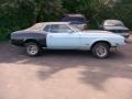 Light Blue - Mustang Hardtop Grande Photo No. 5