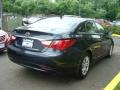 Pacific Blue Pearl - Sonata GLS Photo No. 4