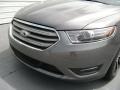 Sterling Gray - Taurus SEL Photo No. 10