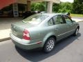 2003 Fresco Green Metallic Volkswagen Passat GLS Sedan  photo #8