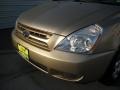 2008 Sunset Gold Metallic Kia Sedona LX  photo #10