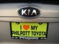 2008 Sunset Gold Metallic Kia Sedona LX  photo #19