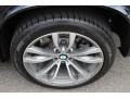 2014 BMW X5 xDrive50i Wheel and Tire Photo