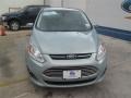 Ice Storm 2014 Ford C-Max Energi