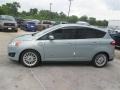 Ice Storm 2014 Ford C-Max Energi Exterior