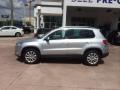 Reflex Silver Metallic - Tiguan SE Photo No. 2
