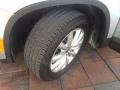 Reflex Silver Metallic - Tiguan SE Photo No. 13