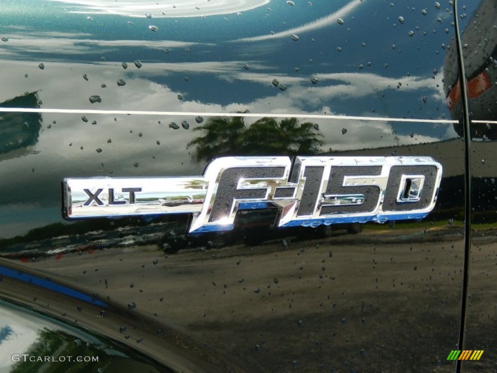 2014 F150 XLT SuperCrew 4x4 - Green Gem / Pale Adobe photo #5