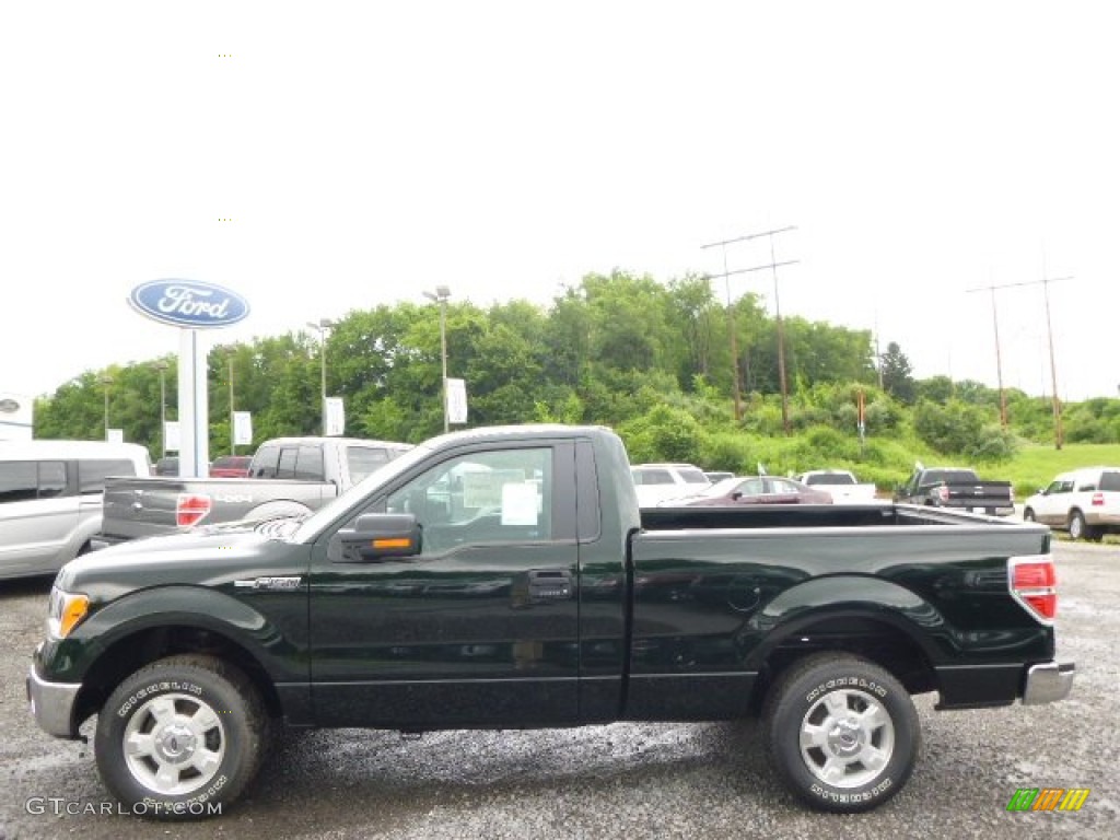 2014 F150 XL Regular Cab - Green Gem / Steel Grey photo #5