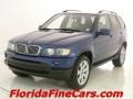 2001 Topaz Blue Metallic BMW X5 4.4i  photo #1