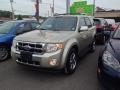 2011 Gold Leaf Metallic Ford Escape Limited V6 4WD  photo #3