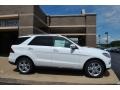 Polar White - ML 350 4Matic Photo No. 2