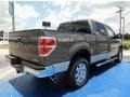 2014 Sterling Grey Ford F150 XLT SuperCrew 4x4  photo #3