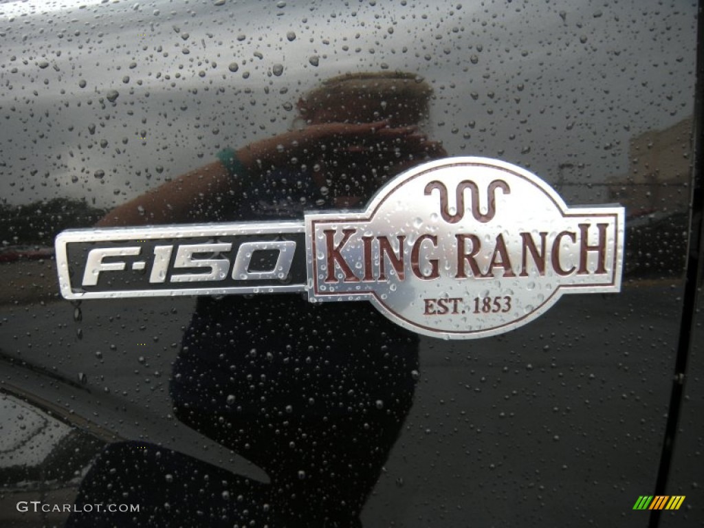 2014 F150 King Ranch SuperCrew - Tuxedo Black / King Ranch Chaparral/Pale Adobe photo #14