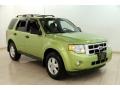 2012 Lime Squeeze Metallic Ford Escape XLT #94807507