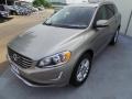 Sea Shell Metallic - XC60 T5 Drive-E Photo No. 3