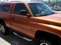 2001 Amber Fire Pearlcoat Dodge Ram 1500 Sport Regular Cab 4x4  photo #12