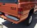 2001 Amber Fire Pearlcoat Dodge Ram 1500 Sport Regular Cab 4x4  photo #13