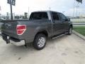 2014 Sterling Grey Ford F150 XLT SuperCrew  photo #10