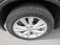 Granite Crystal Metallic - Durango Crew Photo No. 16