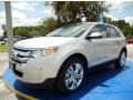 Ingot Silver 2014 Ford Edge Limited EcoBoost