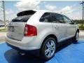 2014 Ingot Silver Ford Edge Limited EcoBoost  photo #3
