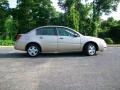 Golden Cashmere - ION 2 Sedan Photo No. 2